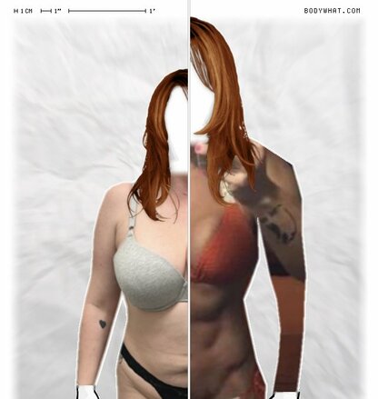Torso Comparison