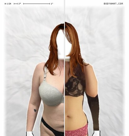 Torso Comparison