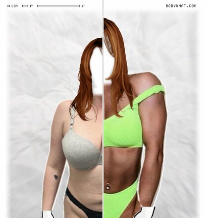 Torso Comparison