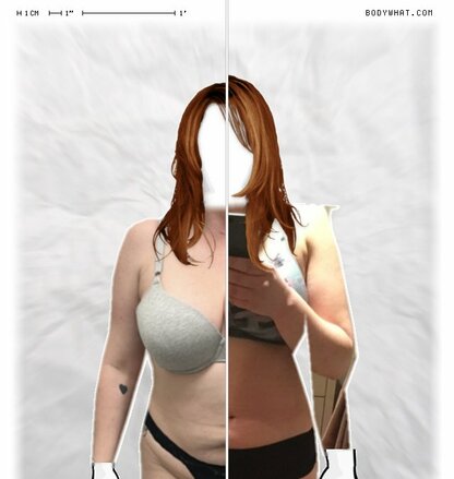 Torso Comparison