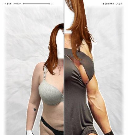 Torso Comparison