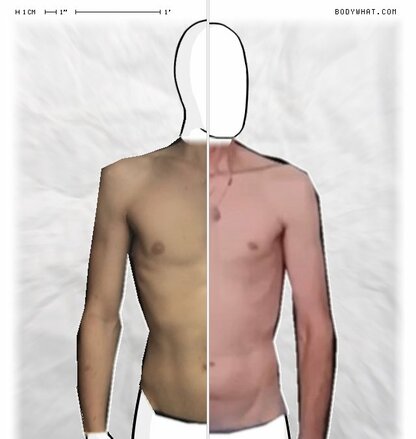 Torso Comparison