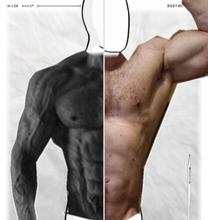 Torso Comparison