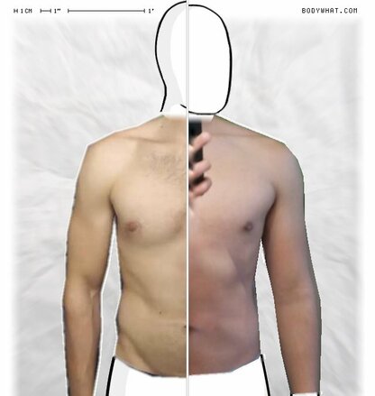 Torso Comparison