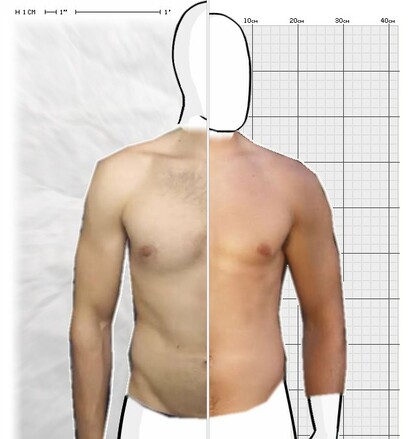 Torso Comparison