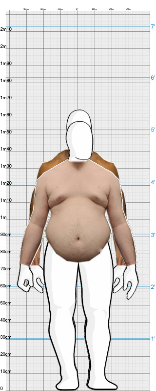 Full Size Comparison