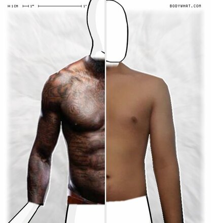 Torso Comparison