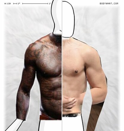 Torso Comparison