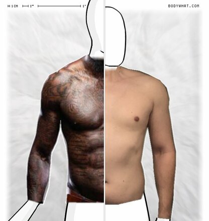 Torso Comparison