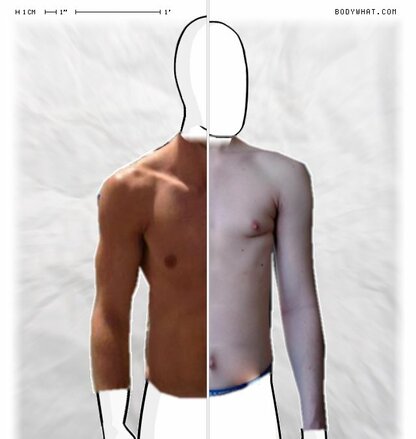 Torso Comparison