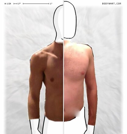 Torso Comparison