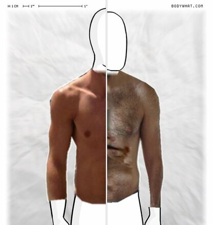 Torso Comparison