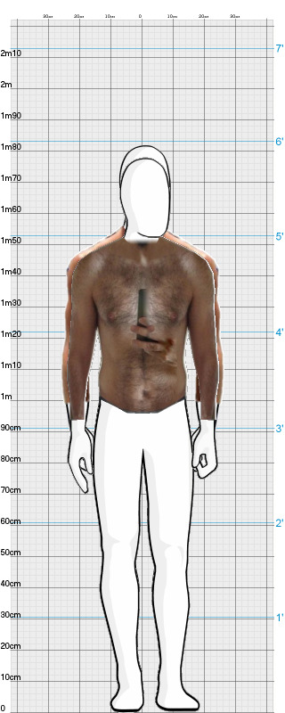 Full Size Comparison