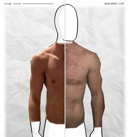 Torso Comparison