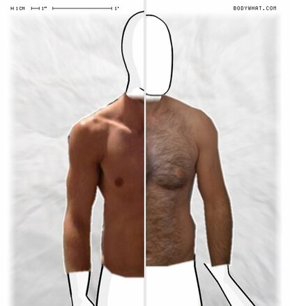 Torso Comparison