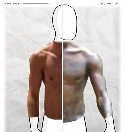 Torso Comparison