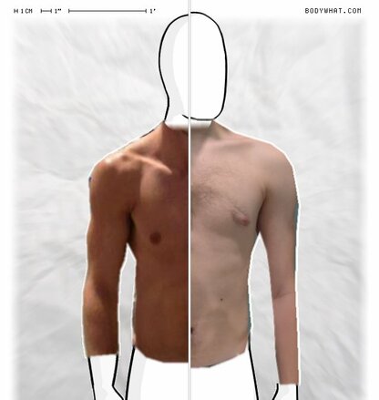 Torso Comparison
