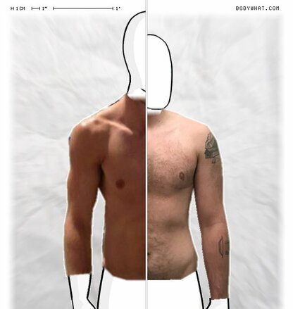 Torso Comparison