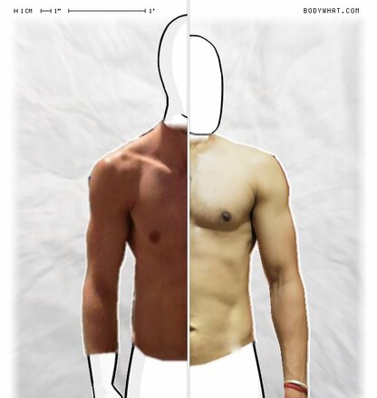 Torso Comparison