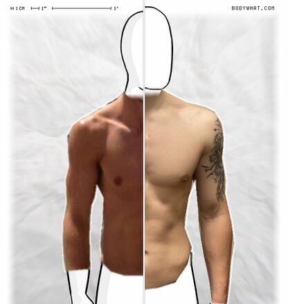 Torso Comparison