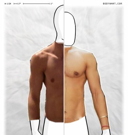 Torso Comparison