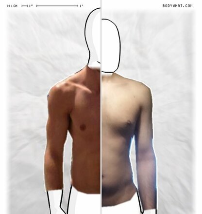 Torso Comparison