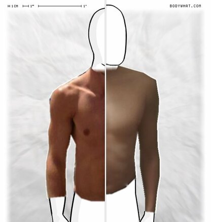 Torso Comparison