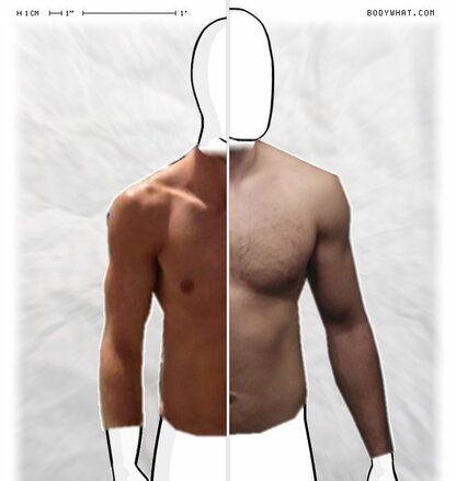 Torso Comparison