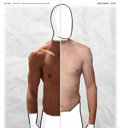 Torso Comparison