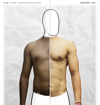 Torso Comparison