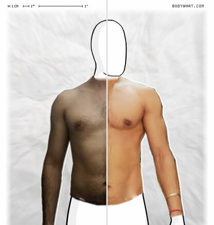 Torso Comparison