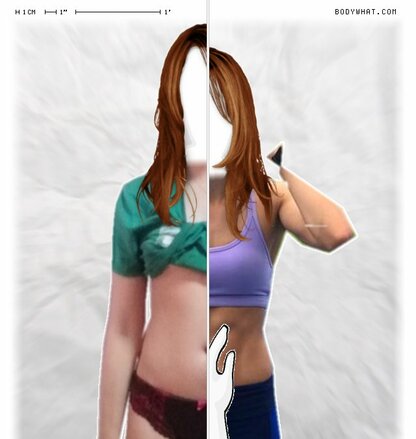 Torso Comparison