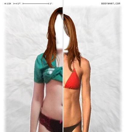 Torso Comparison