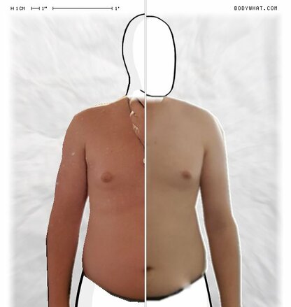 Torso Comparison