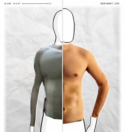 Torso Comparison