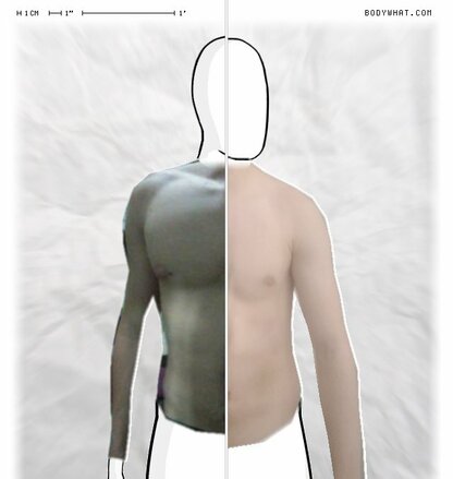 Torso Comparison