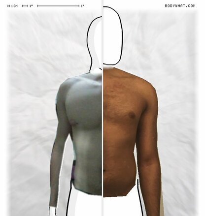 Torso Comparison