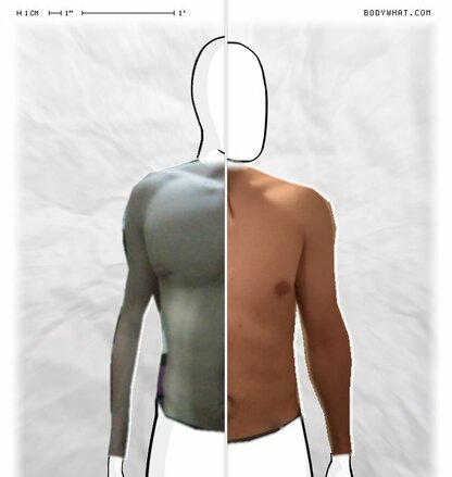 Torso Comparison