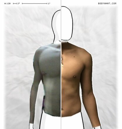 Torso Comparison