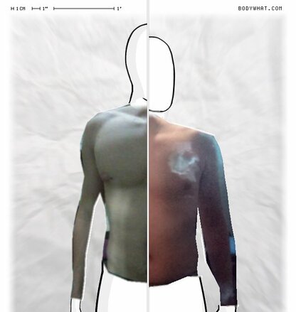 Torso Comparison