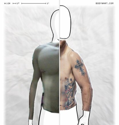 Torso Comparison