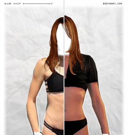 Torso Comparison