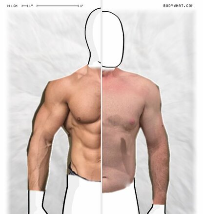 Torso Comparison