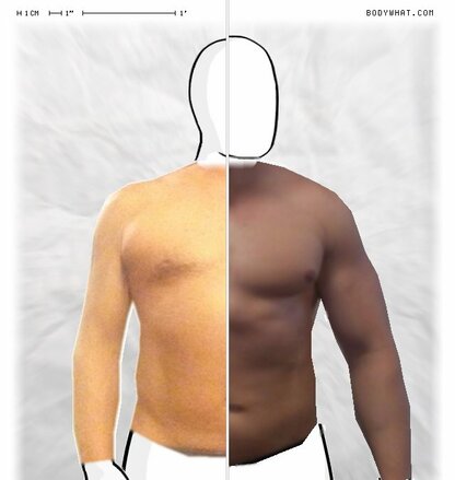 Torso Comparison