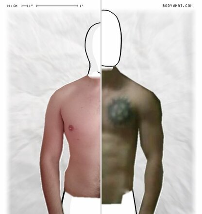 Torso Comparison