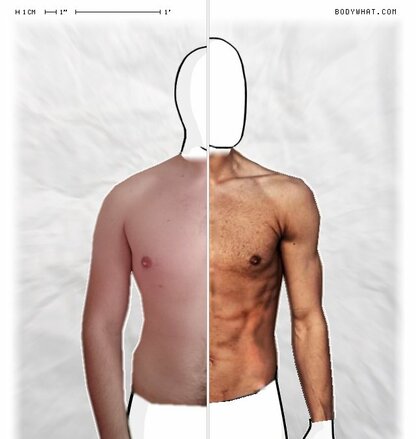 Torso Comparison