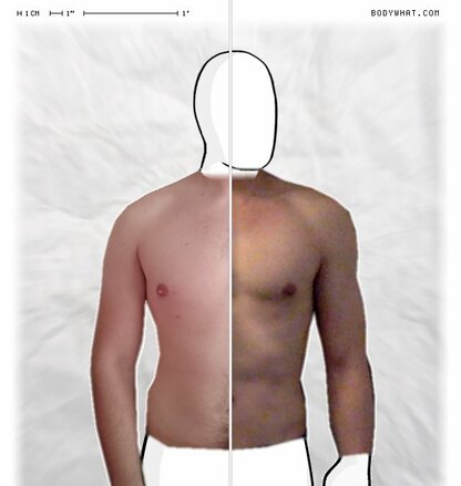 Torso Comparison