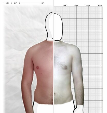 Torso Comparison