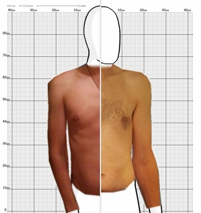 Torso Comparison