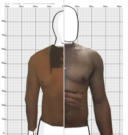 Torso Comparison